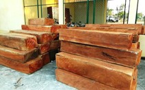 ​Bắt kiểm lâm viên thứ 3 vụ thả xe chở gỗ