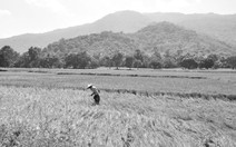 Thơ Đào Quốc Minh