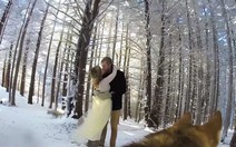 Xem video đám cưới do... chó cưng quay