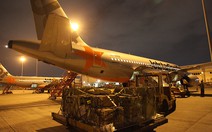 Động vật quý hiếm lên máy bay ra Phú Quốc