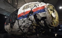 Hà Lan bắt cảnh sát rao bán "quà lưu niệm" từ MH17