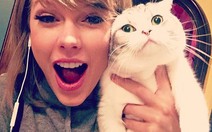 Taylor Swift có nhiều ảnh được thích nhất Instagram