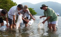Diện tích nuôi tôm tăng mạnh, sản lượng không tăng