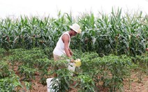 ​Năm 2016, miền Trung và Tây Nguyên tiếp tục thiếu nước