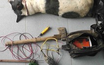 Bắt nhóm thanh niên lái xế hộp đi trộm chó