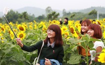 Selfie nguy hiểm hơn... cá mập!