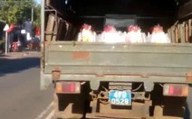 Yêu cầu báo cáo vụ “xe công an chở quà tết chạy ẩu”