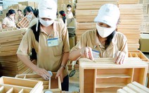 Ấn Độ thẩm tra tại chỗ doanh nghiệp sản xuất gỗ MDF của VN