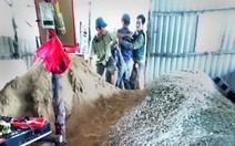 Tạm đình chỉ công tác 4 nhân viên bảo vệ rừng đánh người