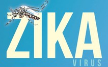 ​Virút Zika có liên quan tổn thương não thai nhi