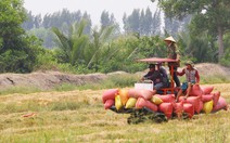 “1 triệu ha lúa là đủ cho Việt Nam”