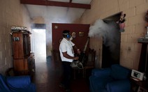 Chile phát hiện nhiễm Zika qua quan hệ tình dục