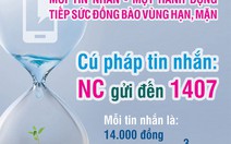 Kêu gọi hỗ trợ 48,5 triệu USD khắc phục  hậu quả hạn, mặn