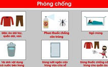 Infographic triệu chứng và cách phòng chống Zika