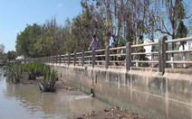 Công ty xả thải ô nhiễm ra sông Long Toàn bị phạt 424 triệu