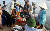 Du lịch Quảng Bình chuyển từ hải sản sang gà, bò, dê, thỏ