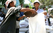 ​Hỗ trợ hơn 975 tấn gạo cho 2 tỉnh