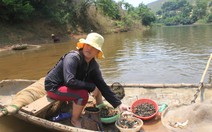 Cá chết trên thượng nguồn sông Bưởi
