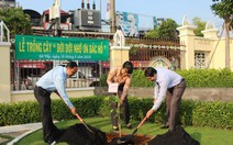 Thuận lòng bà con, Gò Vấp đã trồng lại 11 cây vấp