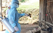 Cảnh báo dịch bệnh bùng phát mùa hè