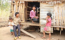 13 tuổi nuôi 6 đứa em