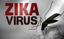 Phát hiện thêm 2 bệnh nhân nhiễm zika tại VN