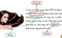 ​Trị rụng tóc với Green Hair – hiệu quả nhờ khác biệt