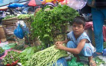 Cậu học trò ước mơ bán rau kiếm tiền chữa mắt