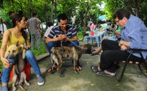 Các chú chó đẹp nô nức chuẩn bị tranh tài Dog Show