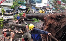 10 người chết và mất tích do bão số 1