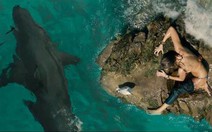 Từ Jaws đến The Shallows: nỗi ám ảnh về cá mập