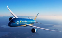 Máy bay Vietnam Airlines phải quay đầu vì va phải chim