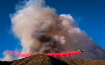 Rừng cháy lớn, California sơ tán hơn 82.000 người