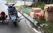 Đinh tặc bủa vây đại lộ Thăng Long