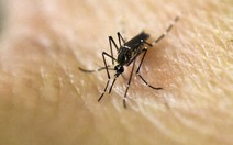 ​Malaysia xác nhận ca nhiễm Zika đầu tiên