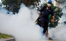 TP.HCM chỉ còn một quận chưa phát hiện Zika