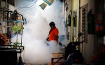 Thái Lan xác nhận có 200 ca nhiễm virus Zika 