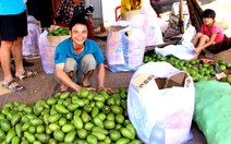 “Nhút Thanh Chương, tương Nam Đàn” trên miền đất đỏ