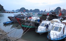 Quảng Ninh cưỡng chế dân cố bám lại trên biển