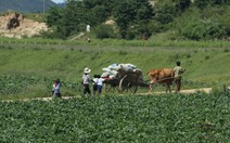 Những hình ảnh đầu tiên ở Triều Tiên - đất nước kỳ lạ