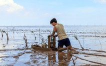 Về với hoang sơ tát mương bắt cá đồng