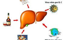 ​Bệnh lý về gan: nguyên nhân, tầm soát bệnh và phòng ngừa
