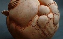 Nghi án đạo điêu khắc: cái chuông hay tiếng chuông?