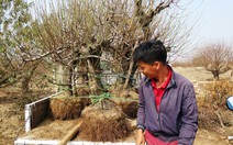 ​Làm nhà, lắp điều hòa cho đào tết
