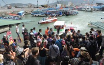 Nha Trang tăng khách Trung Quốc, Nghệ An hoa hướng dương thu hút khách