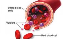 Xuất huyết giảm tiểu cầu nguy hiểm không?