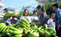 Thành lập ban chỉ đạo 'giải cứu' chuối cho nông dân Đồng Nai