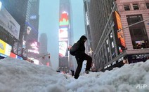 Bão tuyết Stella hoành hành đông bắc Mỹ, nam Canada