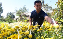 Chàng trai Ê Đê khởi nghiệp với hoa