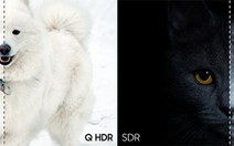​Tại sao dải màu sắc lại là tiêu chí khi chọn mua TV?